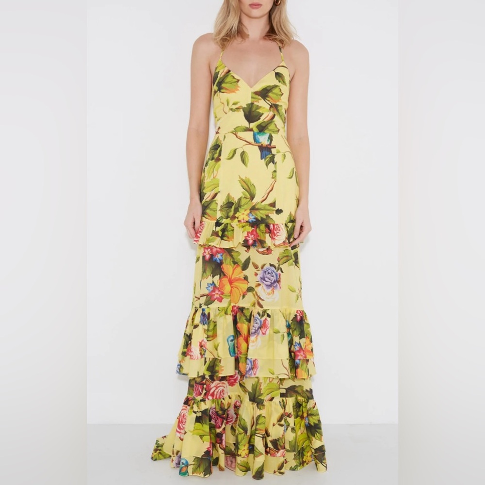 Florence Maxi Dress-Sonya-NWT Size XS/US 2